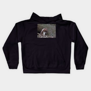 Stoat in the Hole Kids Hoodie